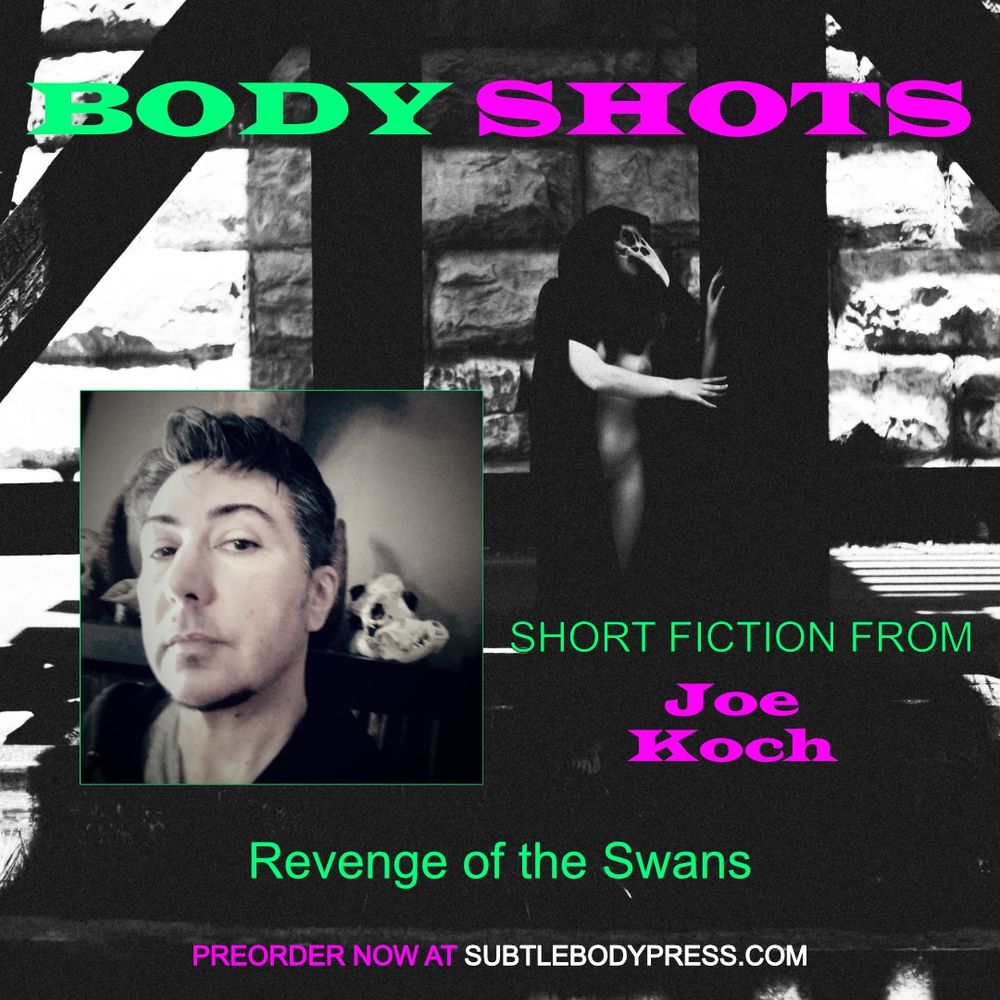 Body Shots cover art of a black & white nude in cloak & plague doctor mask with collage photos filled with moody shadows & suspicious architecture surrounding them. Text reads "short fiction from Joe Koch, Revenge of the Swans."