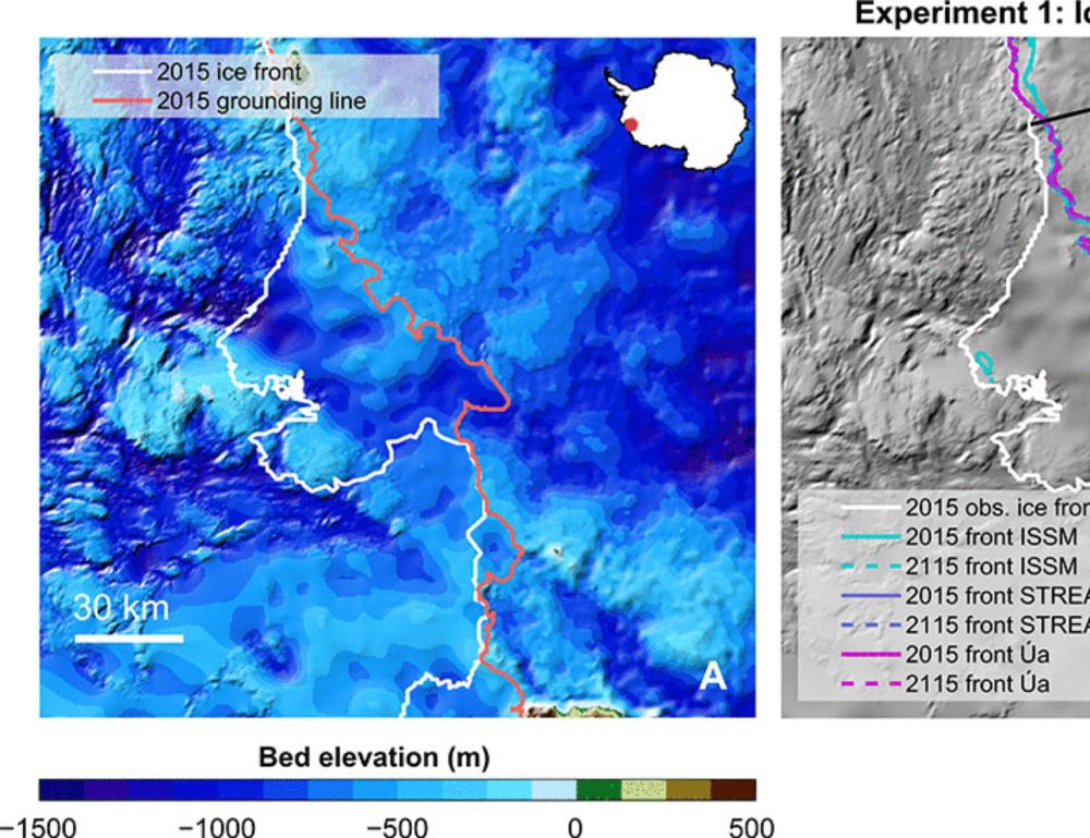 The West Antarctic Ice Sheet may not be vulnerable to marine ice cliff instability during the 21st century