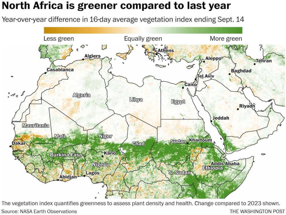 Why parts of the Sahara desert are turning green this month