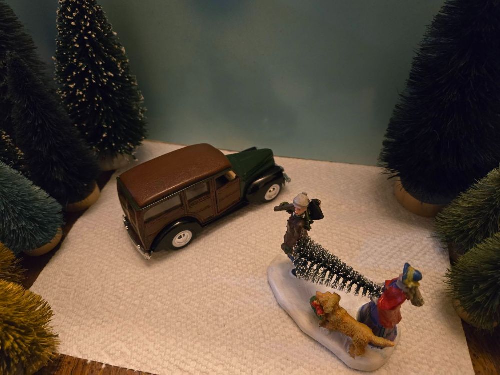 A Couple & their Dog Bring Home a Tree for Christmas.