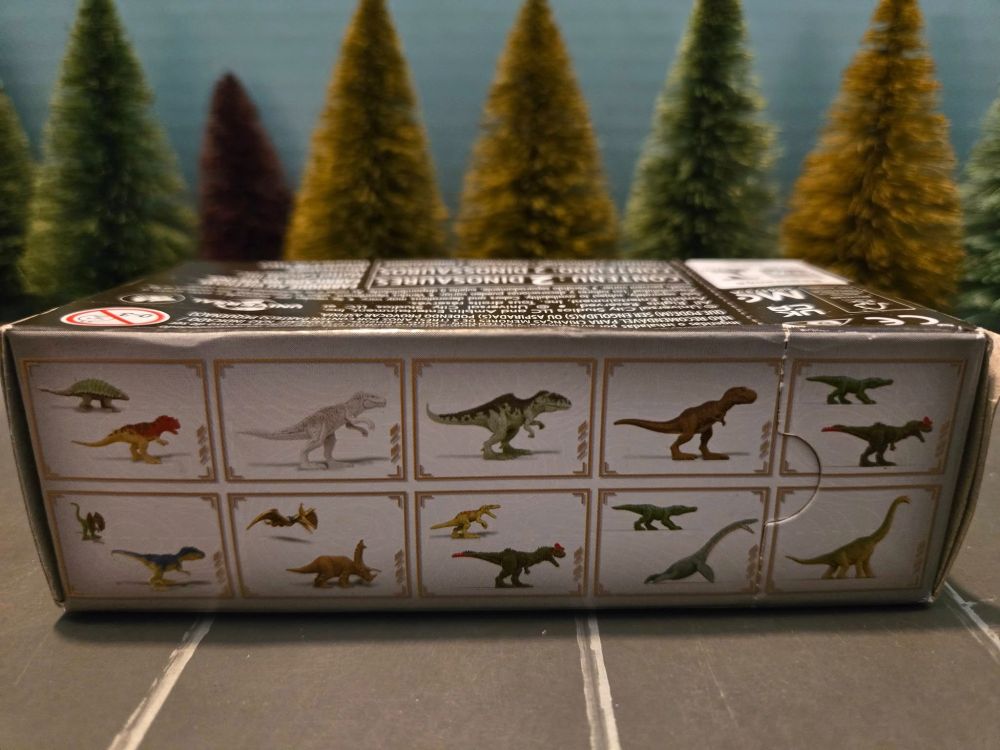 On the Box, it tells you which Dinosaurs to Collect.