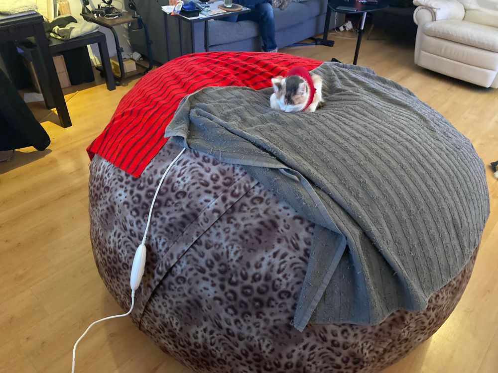 Calico cat wearing a red onesie, laying on a Huge Lovesac.