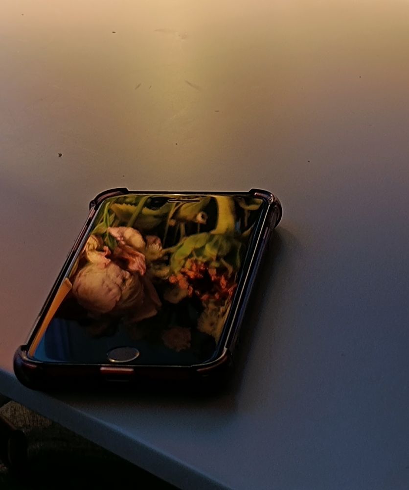 flowers reflected #3.