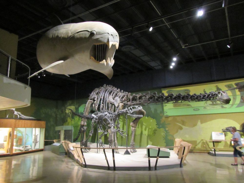 Happy's old mount, as of 2018. A model of Dunkleosteus, a large extinct fish, is in the foreground. The skeleton of a large meat-eating dinosaur stands in front of the skeleton of a large long-necked dinosaur in the background.