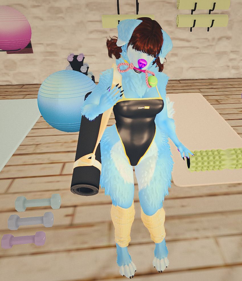 image shows a blue furry anthro dog girl sporting a black and yellow body suit with the words 'cornhub' on the front, yellow collar, yellow leg warmers with a mat slung over her shoulder standing in a yoga gym place looking to burn some calories. She's also carrying her emotional support toy for good measure cause she's shy in crowds.