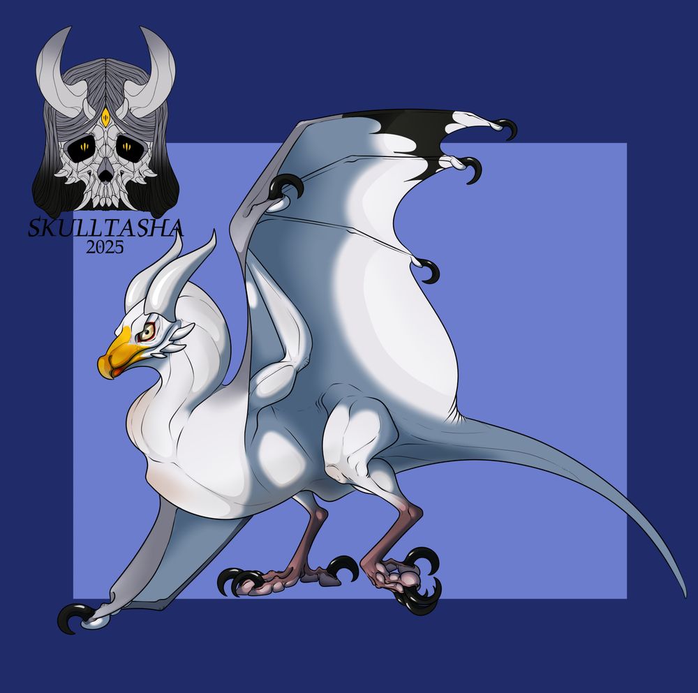 A white wyvern with the markings of a European Herron gull, its facing the left 