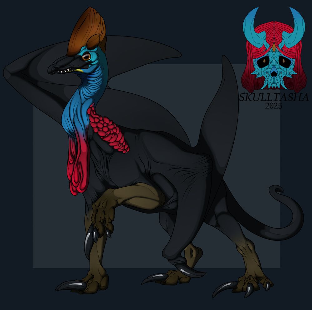 A Southern Cassowary inspired dragon, its body is black with brown Fore and hind limbs Its head is black and blue with a brown crest whole its neck is blue and red with two red wattles, its markings closely mimic the Cassowary    