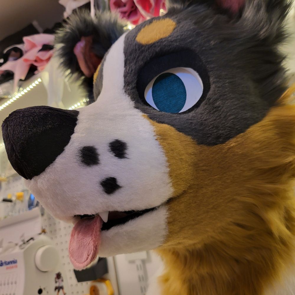 Collie fursuit head!