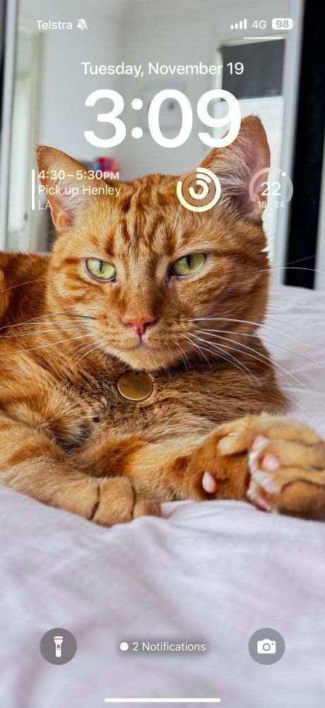Orange cat relaxing on bed on phone lock screen. 
