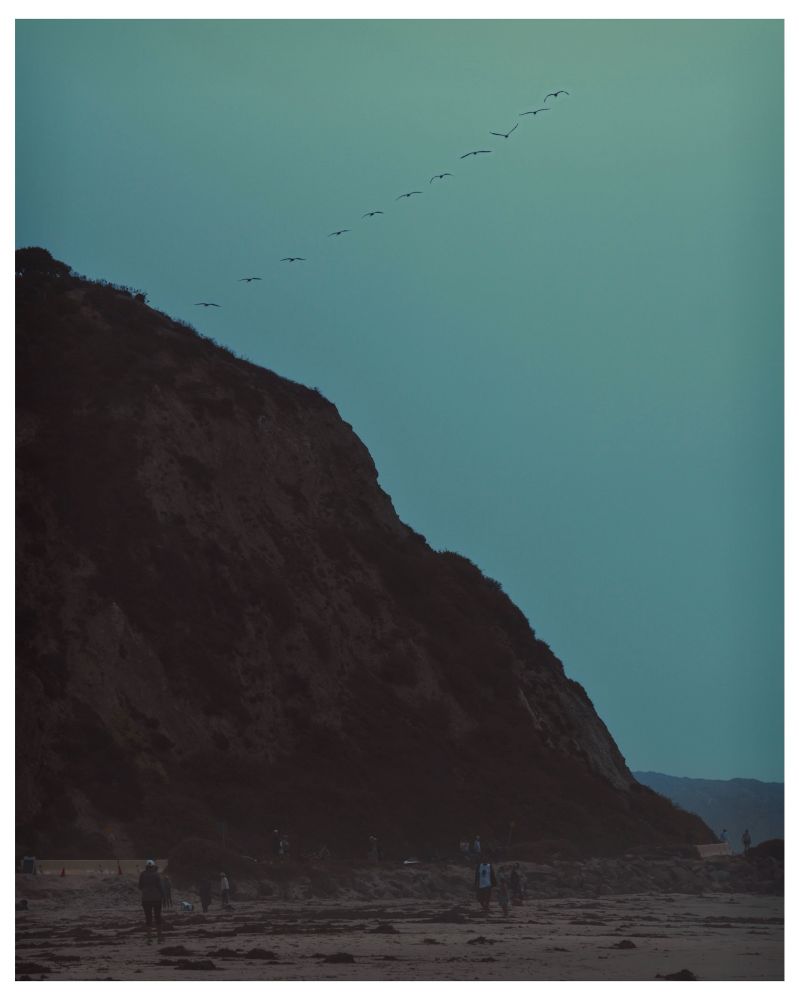 Coastal cliff overlooking beach below