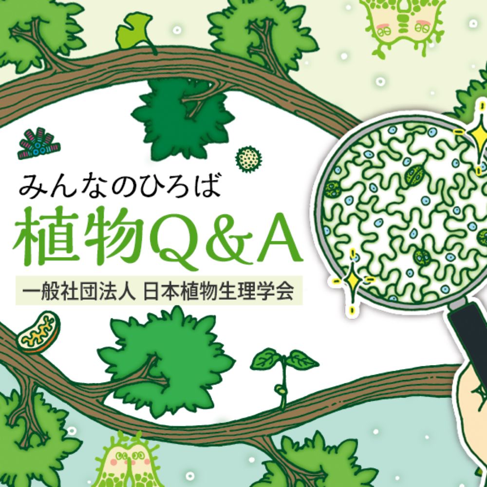 植物 Q&A 観葉植物のCO2吸収能力 | みんなのひろば | 日本植物生理学会