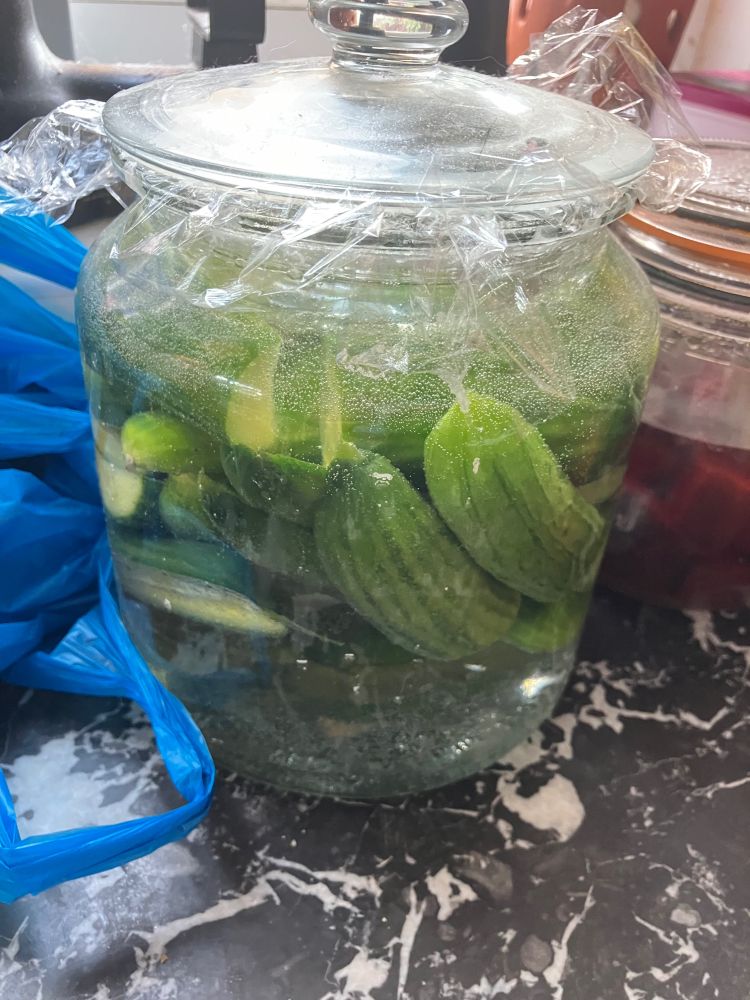 A photo of a glass jar filled with brine and small cucumbers. 
