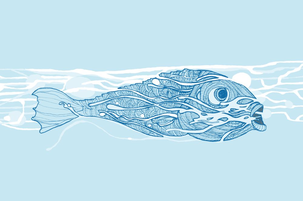 Zeichnung eines Fisches der gegen die Strömung Anschwimmt // Drawing of a fish swimming against the current