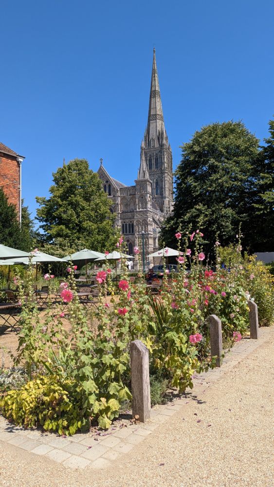 Photo of Salisbury Cathedral from Salisbury Museum. Gravel footpath in the foreground with border of flowers. Behind are umbrellas &  tables. Cathedral in the background.