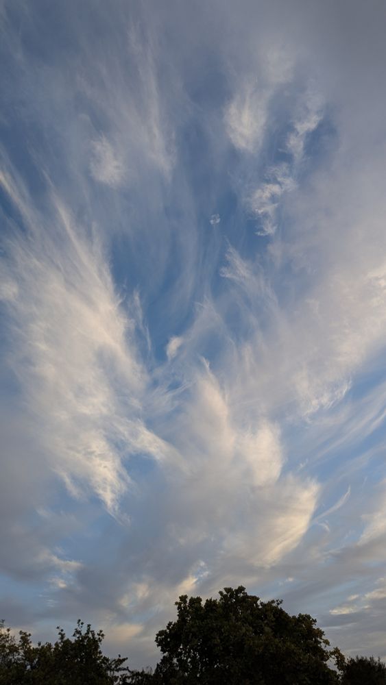 Evening sky showing blue sky and high, wispy cirrus clouds.