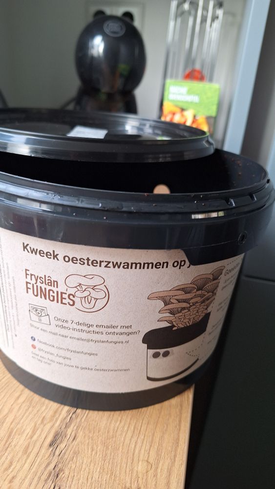 Emmer met sticker waarop staat: kweek oesterzwammen van Fryslan Fungies