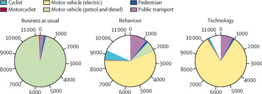 Policy approaches to decarbonising the transport sector in Aotearoa New Zealand: modelling equity, population health, and health-system effects