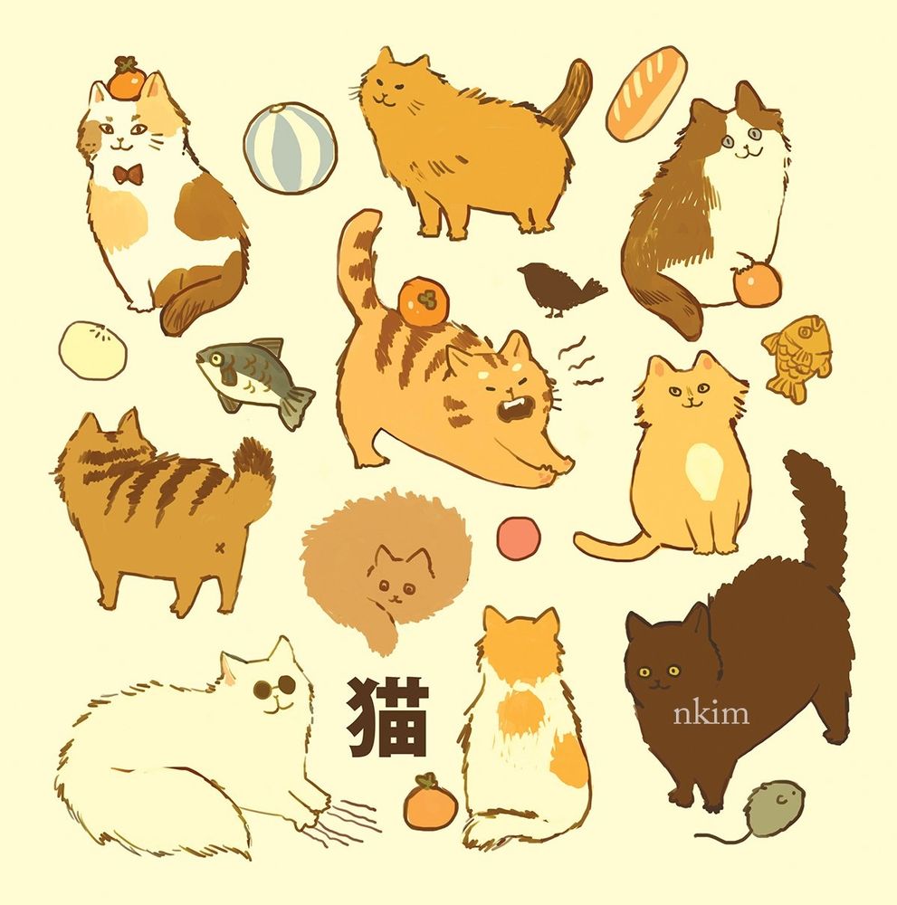 A variety of cats and their play things.