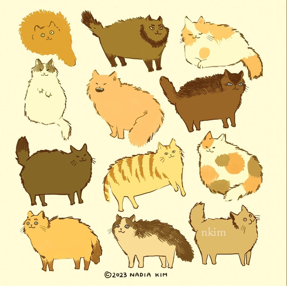 Variety of cats!