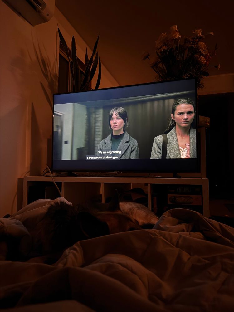 A movie still from Heretic on the tv with a blanket fort made of dog beds and good puppy cuddles. 