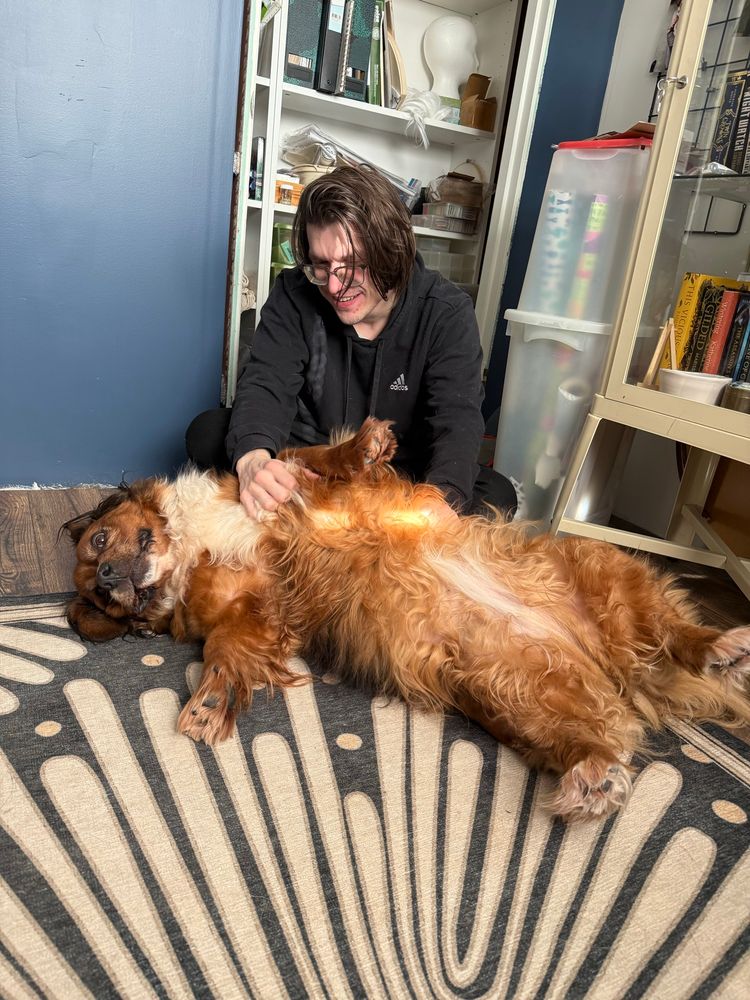 The most adorable fuzzy dog with her belly up demanding pets from her equally adorable dog-dad. 