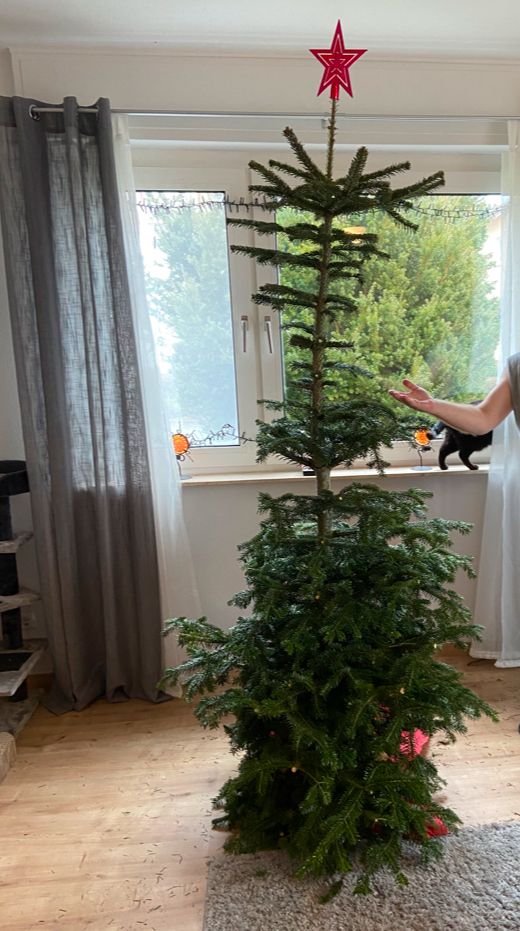 Defeat - tree coming down.