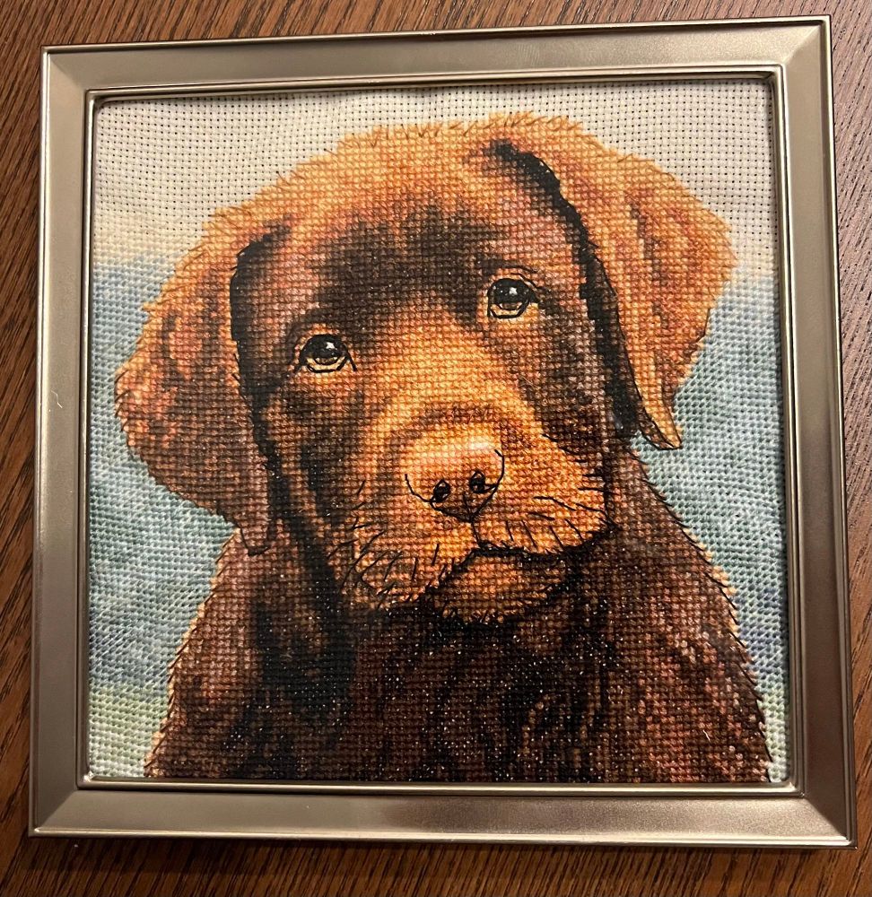 Cross stitch of a chocolate lab