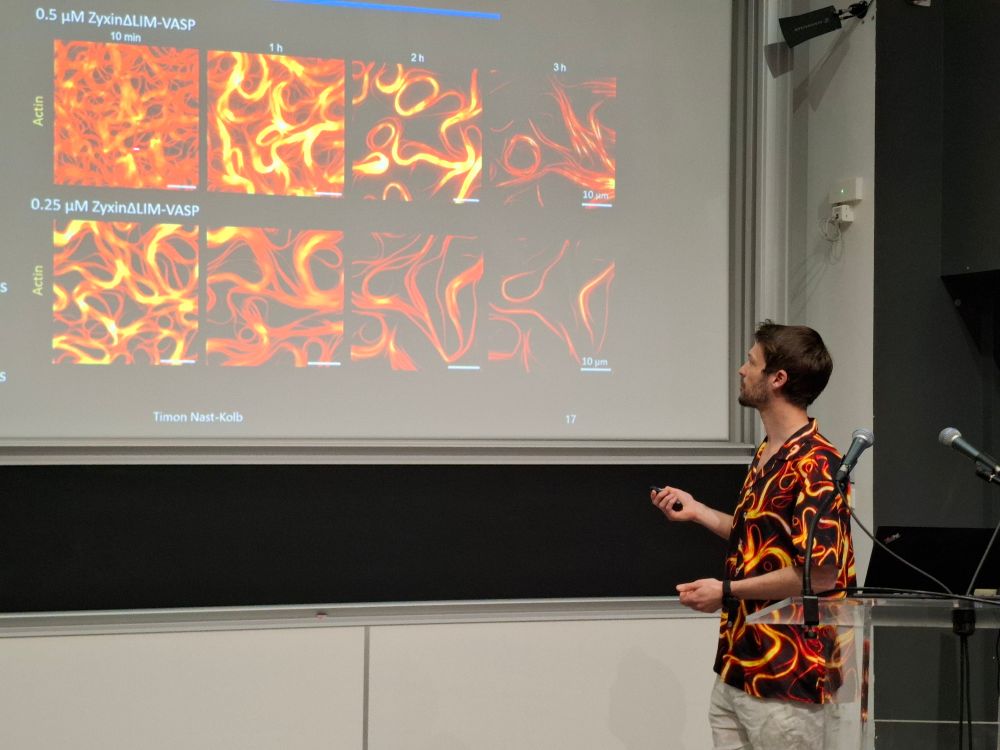 Somebody doing a scientific présentation 