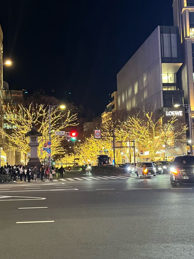 表参道のイルミネーション