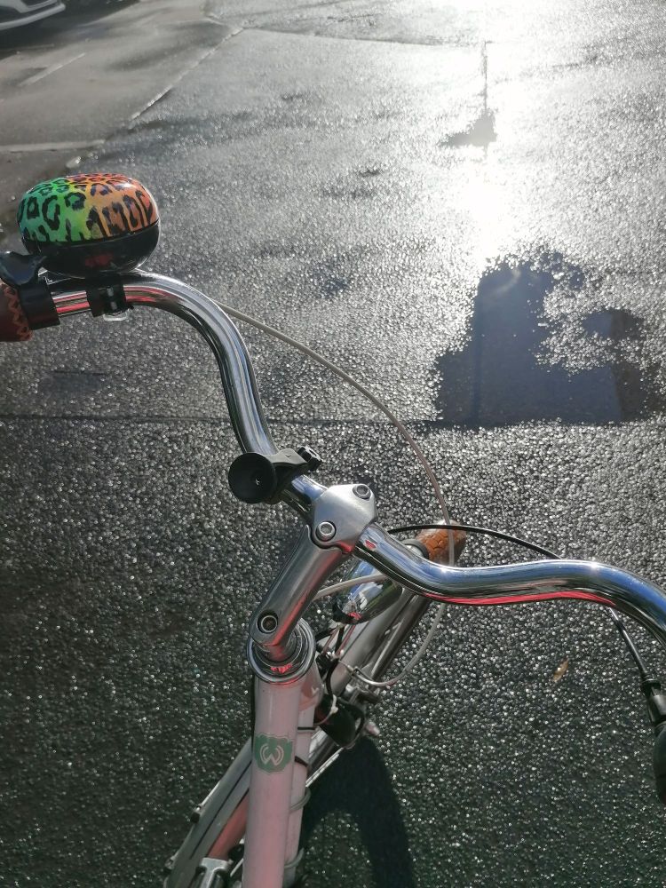 Ein nach rechts gekippter Fahrradlenker. Der Rahmen des Fahrrades ist weiß. Ein mintfarbiger Kreis mit einem weißen "W" ist darauf erkennbar. Auf der linken Seite befindet sich eine Fahrradklingel in Regenbogenfarben, auf denen ein schwarzes Leopardenmuster gesprüht ist. Der Hintergrund des Bildes ist von feuchtem Asphalt, der in der Sonne glänzt, geprägt. Rechts oben befinden sich
 mehrere flache Pfützen.