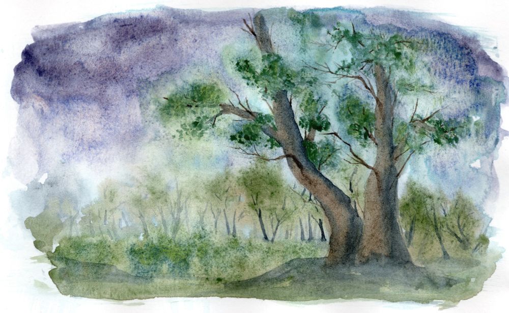 Otro paisaje. En un claro, dos árboles posan al frente, uno al lado del otro, mientras detrás, en la lejanía, una hilera de árboles se pierde en el fondo. El cielo es azul-violacio, dramático, con signos de tormenta.