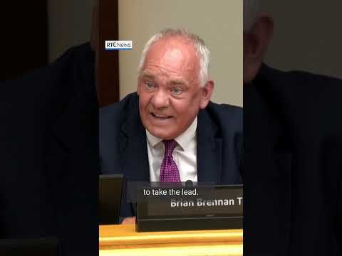 Opposition to Occupied Territories Bill challenged in Oireachtas committee