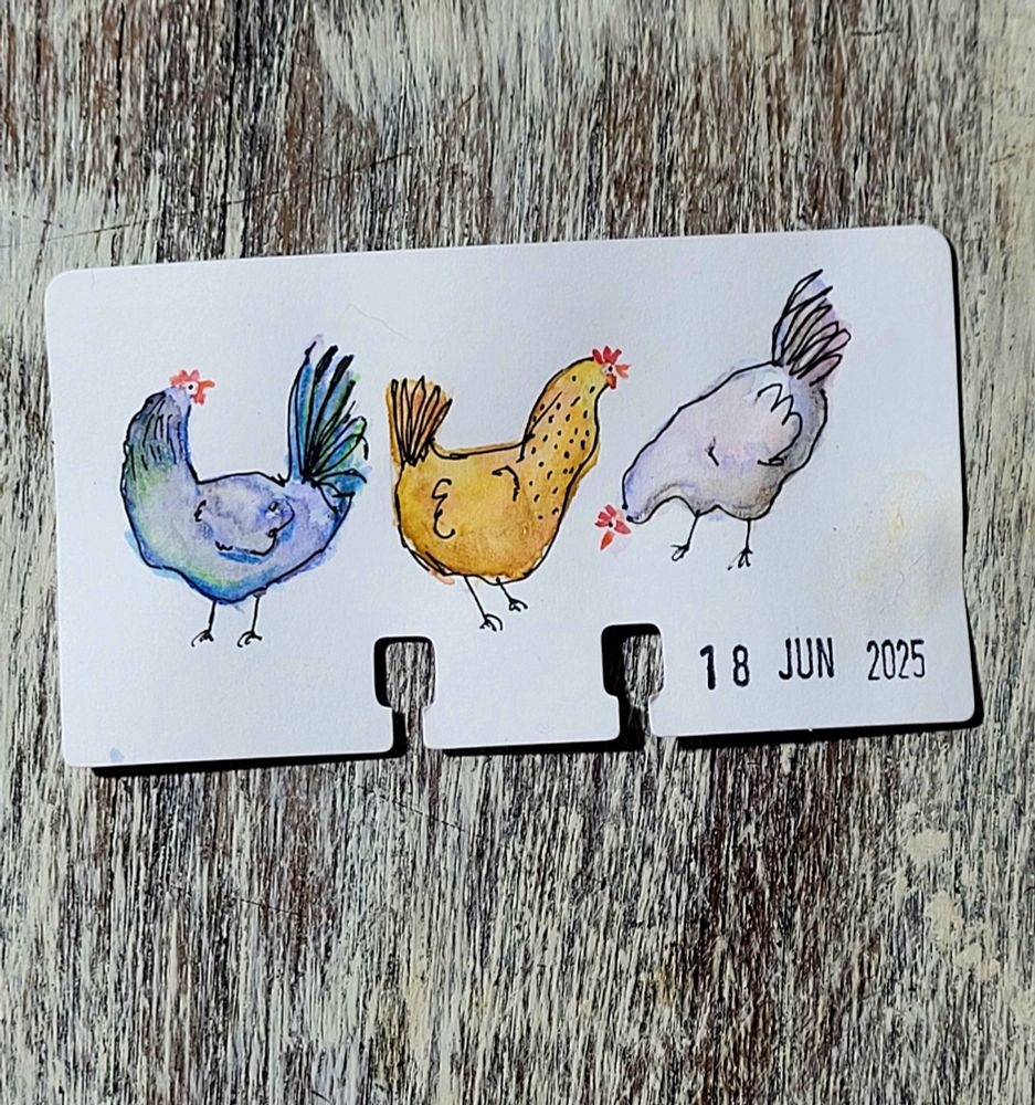 Watercolor of 3 chickens