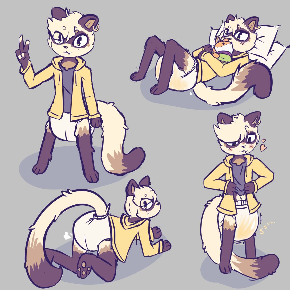 page of diapered ferrets in various poses 