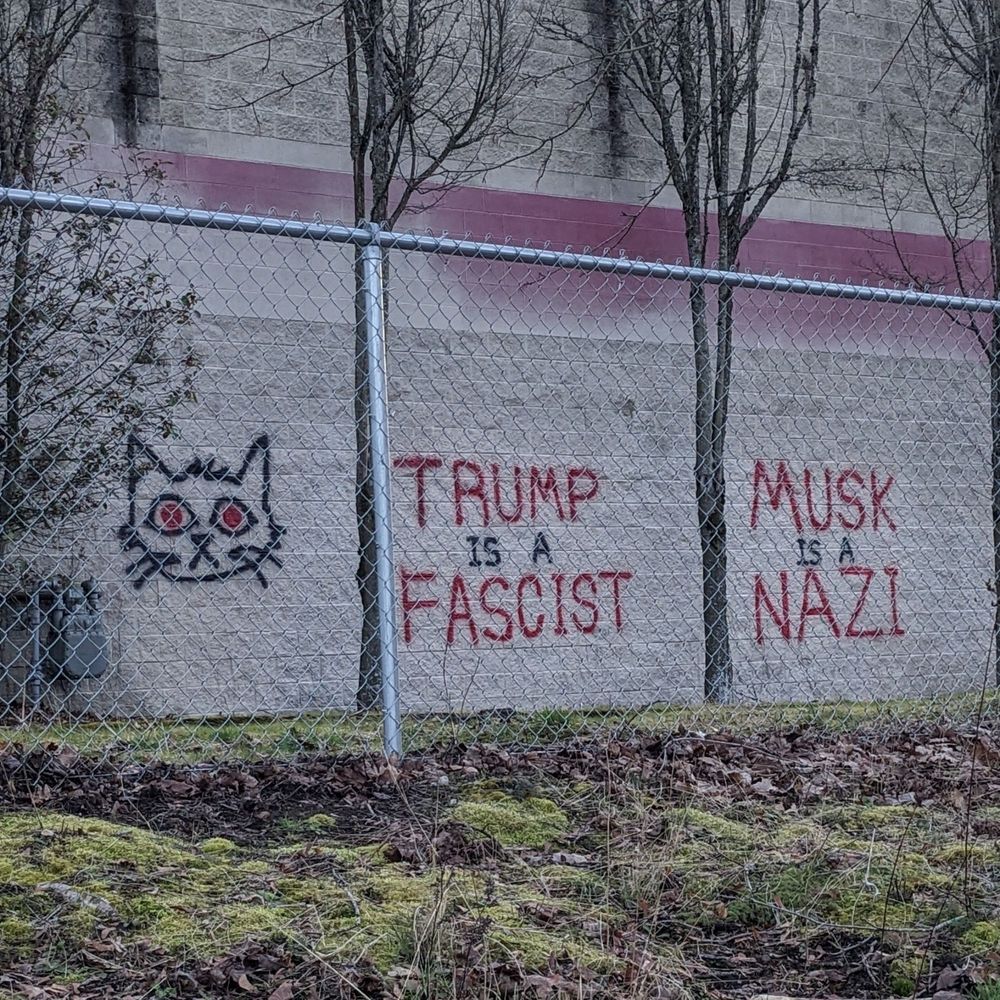 Graffiti on the side of a building, reading, "Trump is a fascist" and "Musk is a Nazi." Mae  Borowski from the video game Night In the Woods accompanies the statements.