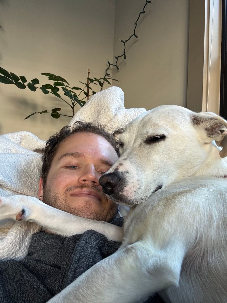 My dog, laying on me