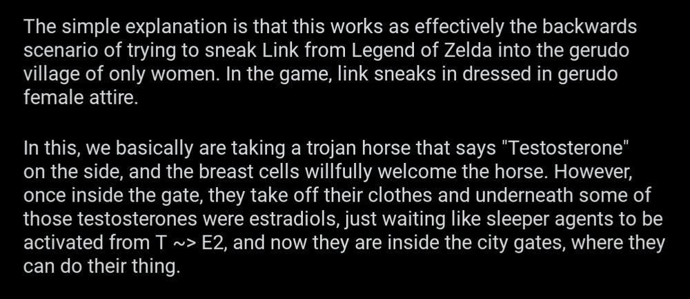 nonsensical metaphors from powers's post about "trying to sneak Link from Legend of Zelda into the gerudo village" and "a trojan horse" and "sleeper agents"