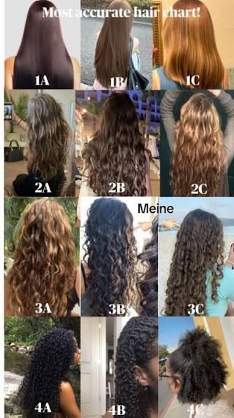 Eine Sammlung an Bildern die die Haare von Frauen von hinten Zeigt. Abgebildet sind alle Haartypen von 1a (ganz glatt) bishin zu 4c( Afrolocken)