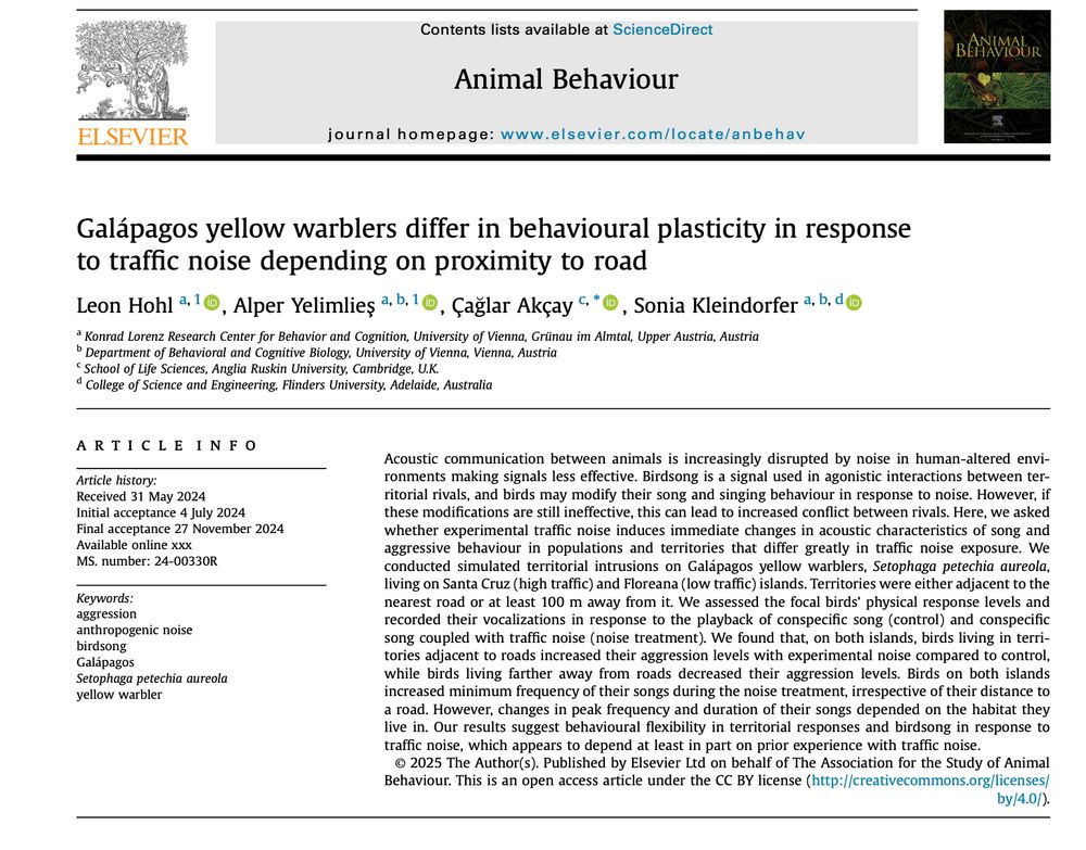First page of our article in Animal Behaviour: Galapagos yellow warblers differ in behavioural plasticity in response to traffic noise depending on proximity to road.