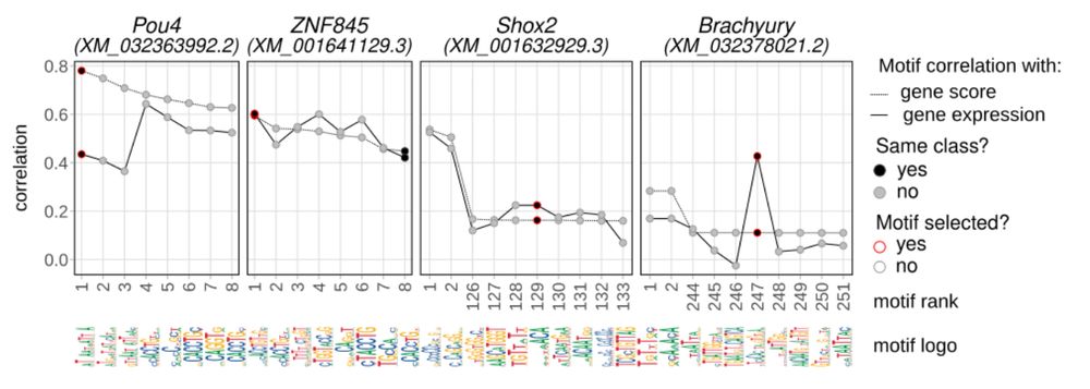Correlation-based motif assignment approach.