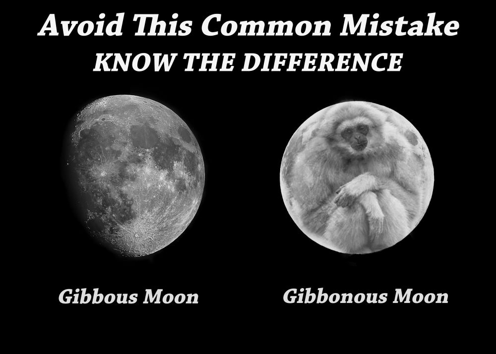 visual gag contrasting a Gibbous Moon image with a"Gibbonous" Moon image (A moon with a gibbon Photoshopped as contours of the lunar landscape).  