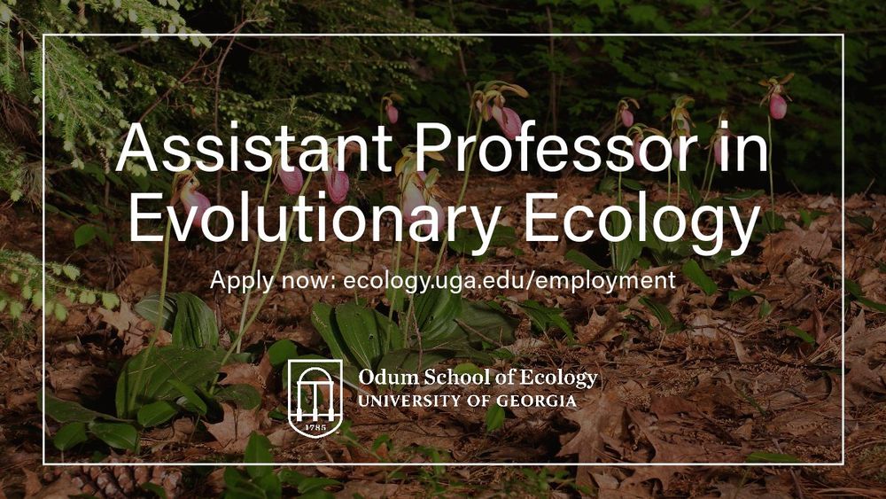 "Assistant Professor in Evolutionary Ecology" with application link and Odum logo against a background of herbaceous plants (but we're not just hiring plant ecologists!)