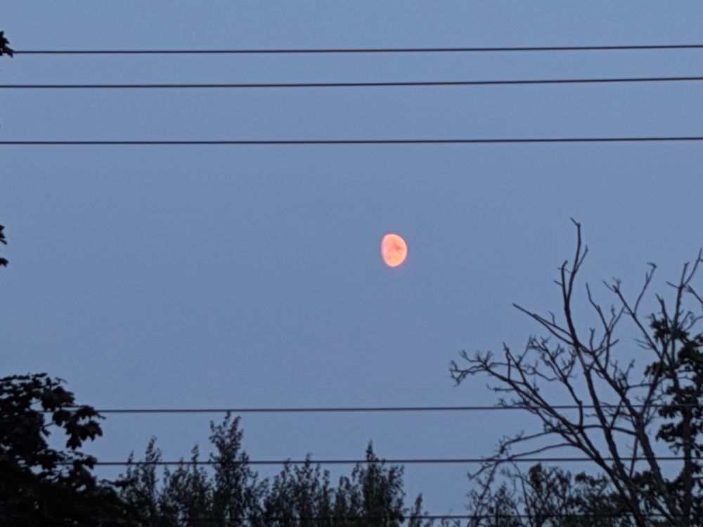 Last night’s moon from Bridgetown, Nova Scotia. iPhone 15 on 7.5 zoom