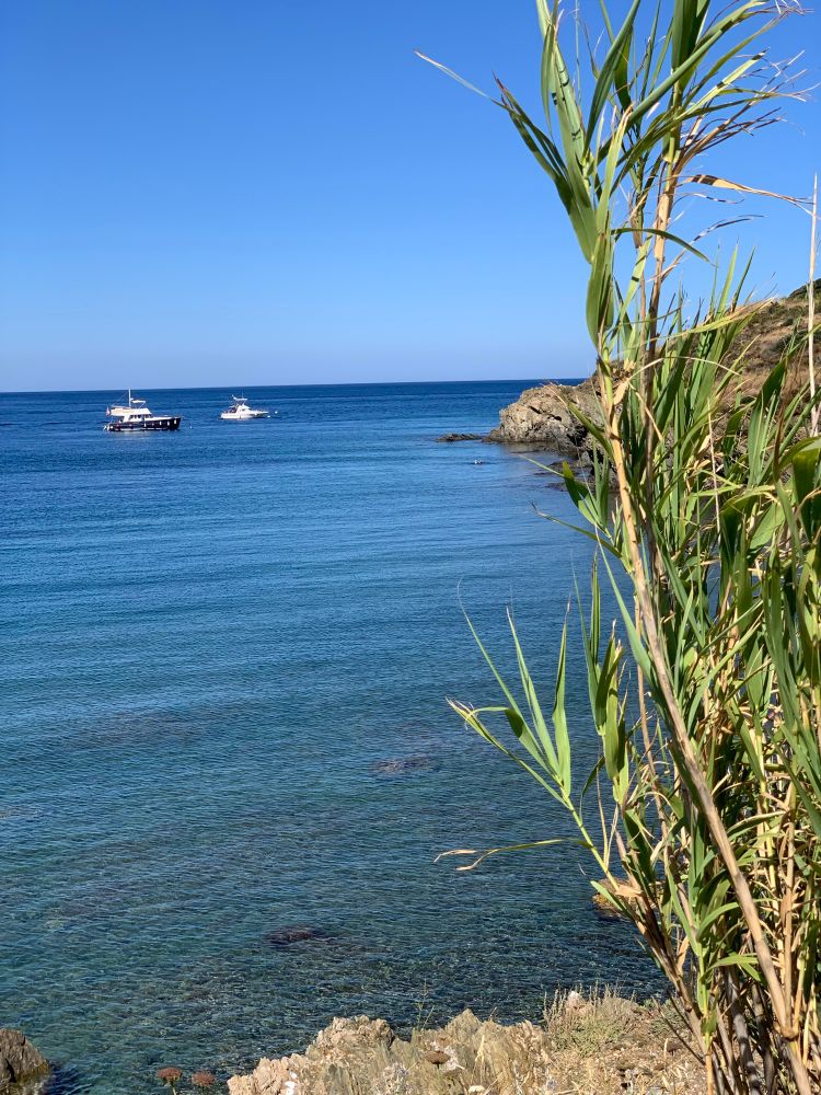 Clear Mediterranean sea in the south of France