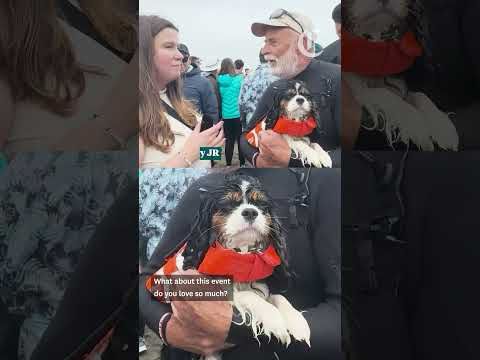The World Dog Surfing Championship returns to Pacifica's 'ruff' waves