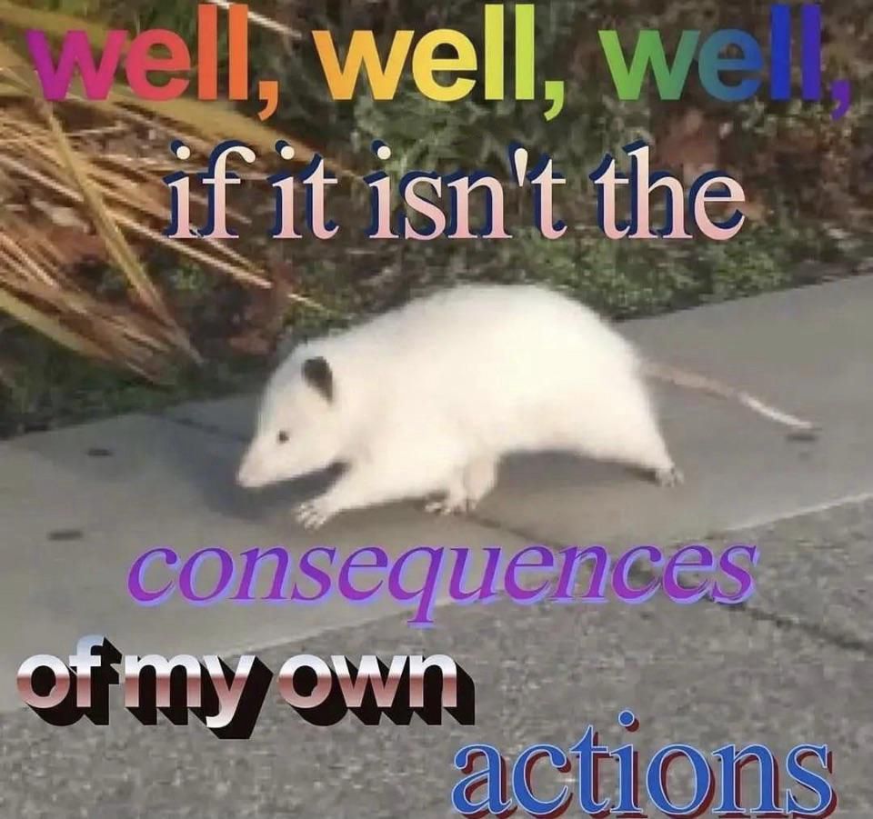 Comment image