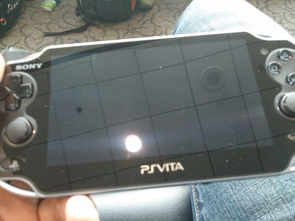 A shiny, new PlayStation Vita. A handheld console that's basically the shape of a phone but with sticks and buttons on each end.
