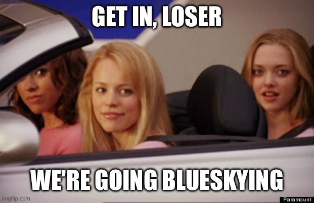 The Mean Girls 