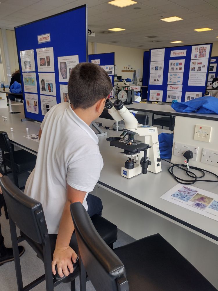 A pupil in a white polo shirt looks down a microscope in a molecular biology lab. There are blue poster boards behind them with information about different parasites and other microorganisms 