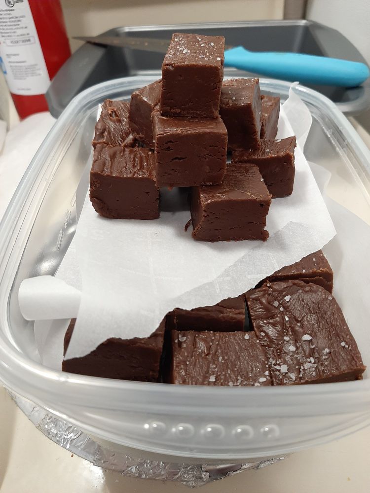 a clear Tupperware container filled with small cubes of chocolate fudge. some of the fudge cubes have a light sprinkling of salt.